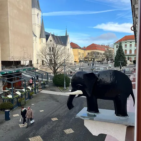 Ady1 Капошвар